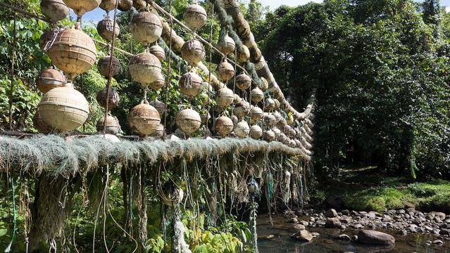 Cocos Island